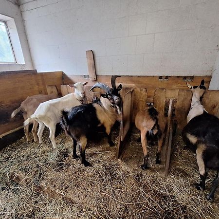 Вилла Mair Am Hof - Farm - Maso - Bauernhof Сан-Лоренцо-ди-Себато Экстерьер фото