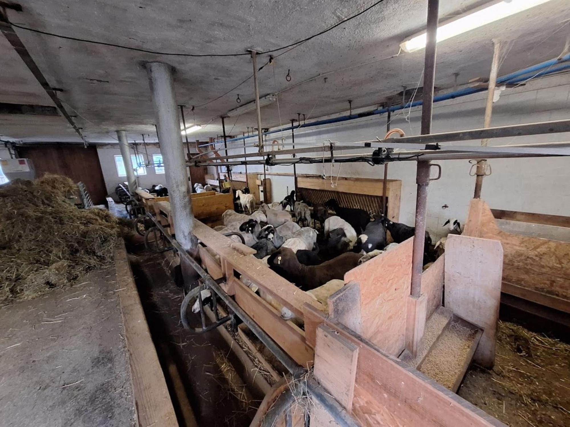 Вилла Mair Am Hof - Farm - Maso - Bauernhof Сан-Лоренцо-ди-Себато Экстерьер фото