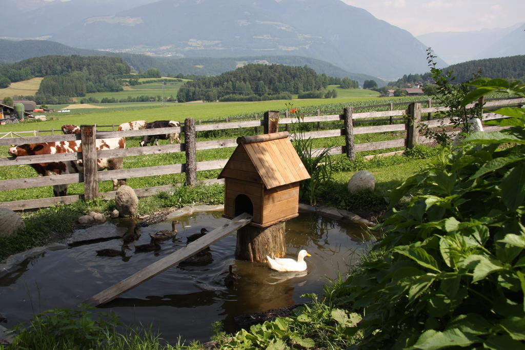 Вилла Mair Am Hof - Farm - Maso - Bauernhof Сан-Лоренцо-ди-Себато Экстерьер фото
