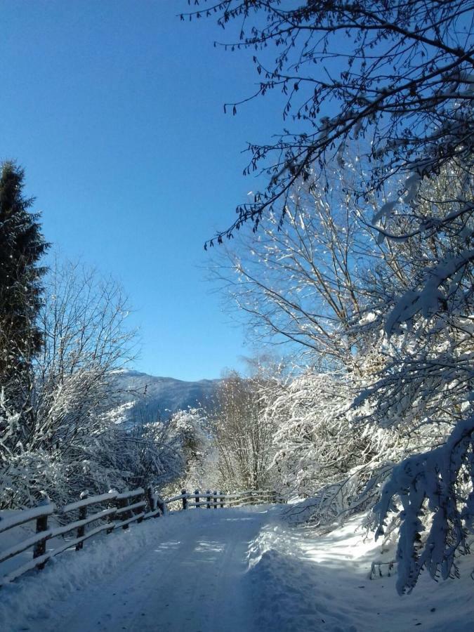 Вилла Mair Am Hof - Farm - Maso - Bauernhof Сан-Лоренцо-ди-Себато Экстерьер фото